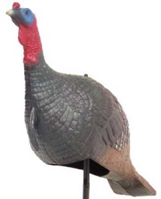 Carry Lite Easy Fold Jake Turkey Decoy